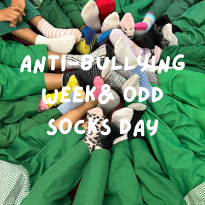 Anti-Bullying Week and Odd Socks Day